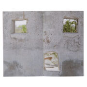 Art Now: Hylozoic/Desires exhibition book